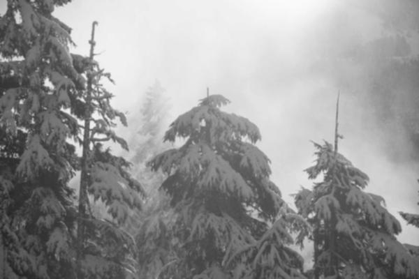 斗地主技巧